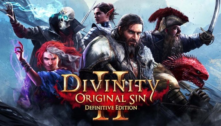 Divinity original sin как играть по сети на пиратке через hamachi